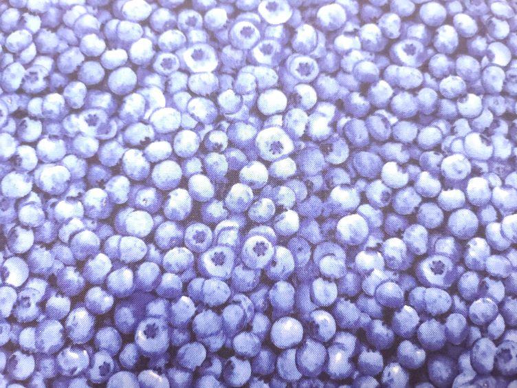 Blaubeer Baumwollstoff - 0
