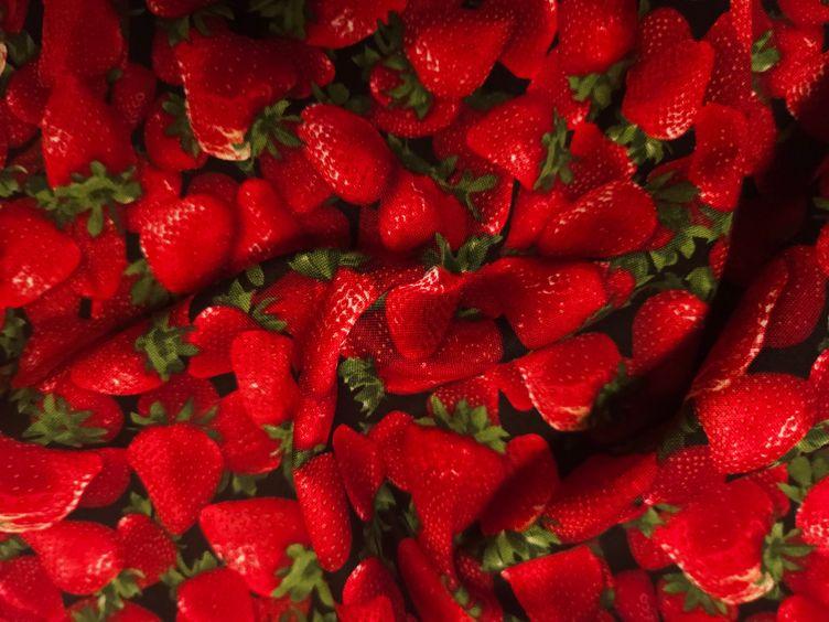 Erdbeer Baumwollstoff